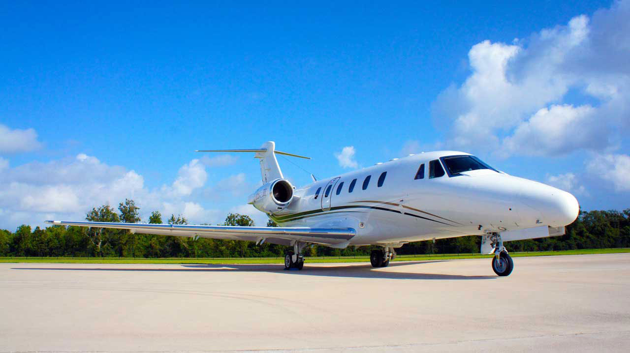 Image of Citation VII